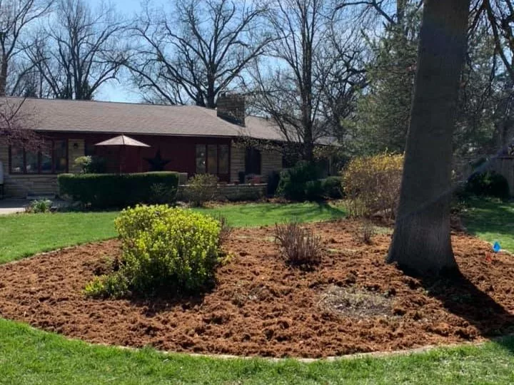 Gomez Lawn Tree Landscape design, Lawn care, Tree service, Landscaping Wichita KS, Eastborough KS, Derby KS, Andover KS, Maize KS, Bel Aire KS