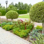 Gomez Lawn Tree Landscape design, Lawn care, Tree service, Landscaping Wichita KS, Eastborough KS, Derby KS, Andover KS, Maize KS, Bel Aire KS